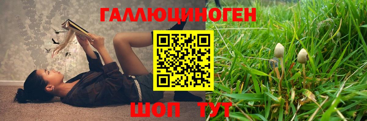 Галлюциногенные грибы Psilocybine cubensis Волхов