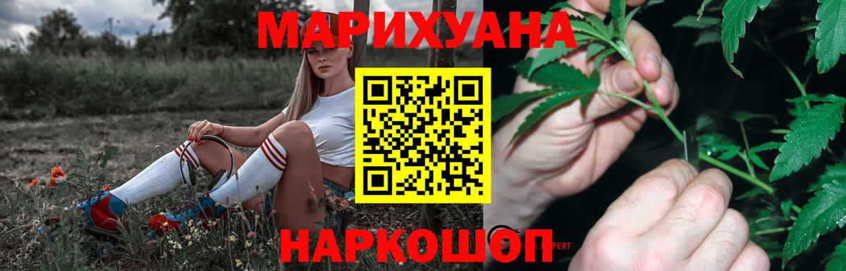 Конопля планчик Волхов